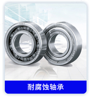 耐腐蚀轴承